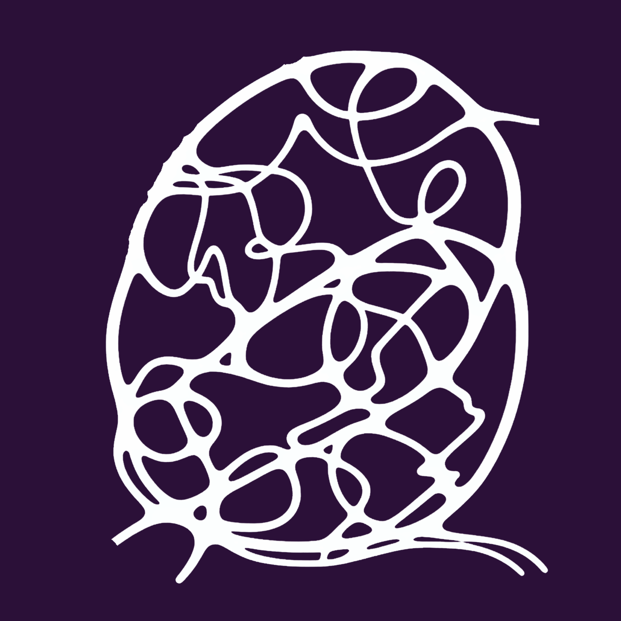Neurographic art piece that looks like an abstract image of a brain.